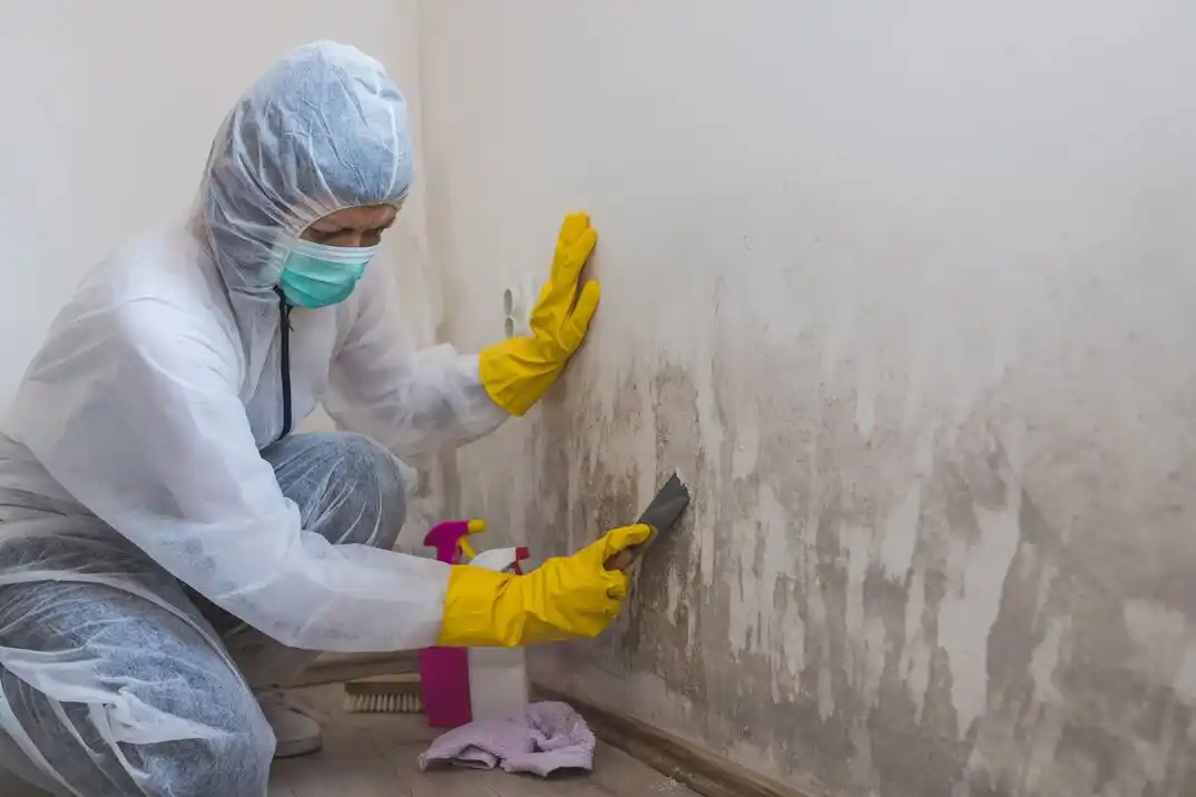 water damage restoration service Hunter's Walk